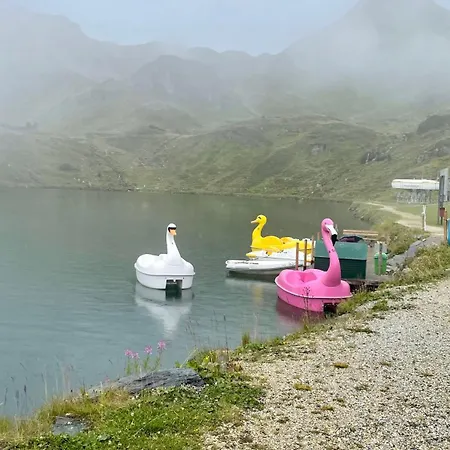 Premium In/out - Steinadler