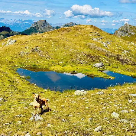 Premium In/out - Steinadler Apartment *