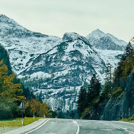 Premium In/out - Steinadler Apartment *