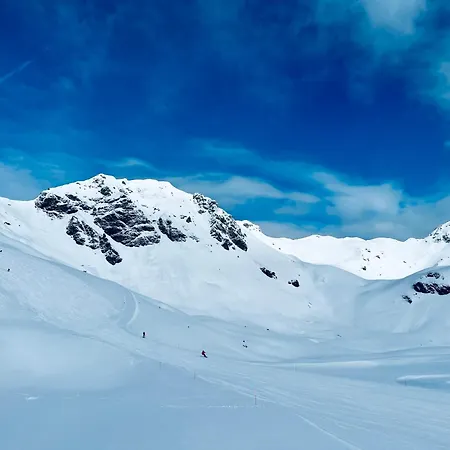 דירה Premium In/out - Steinadler *