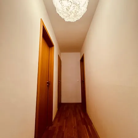 Premium In/out - Steinadler אוברטאורן